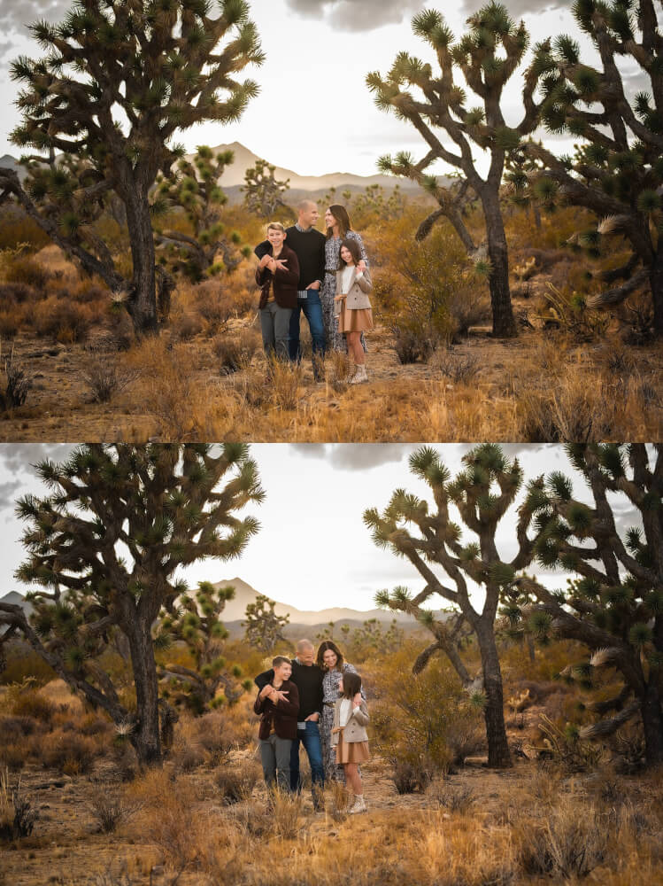 Family Session in Joshua Tree Forest