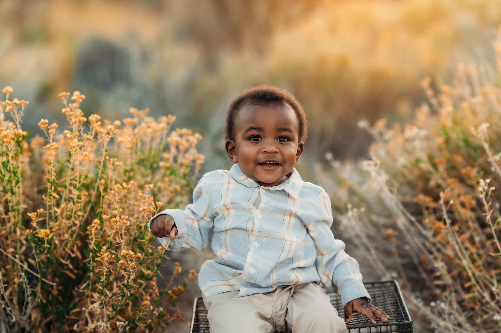 Spring Family Portrait Session