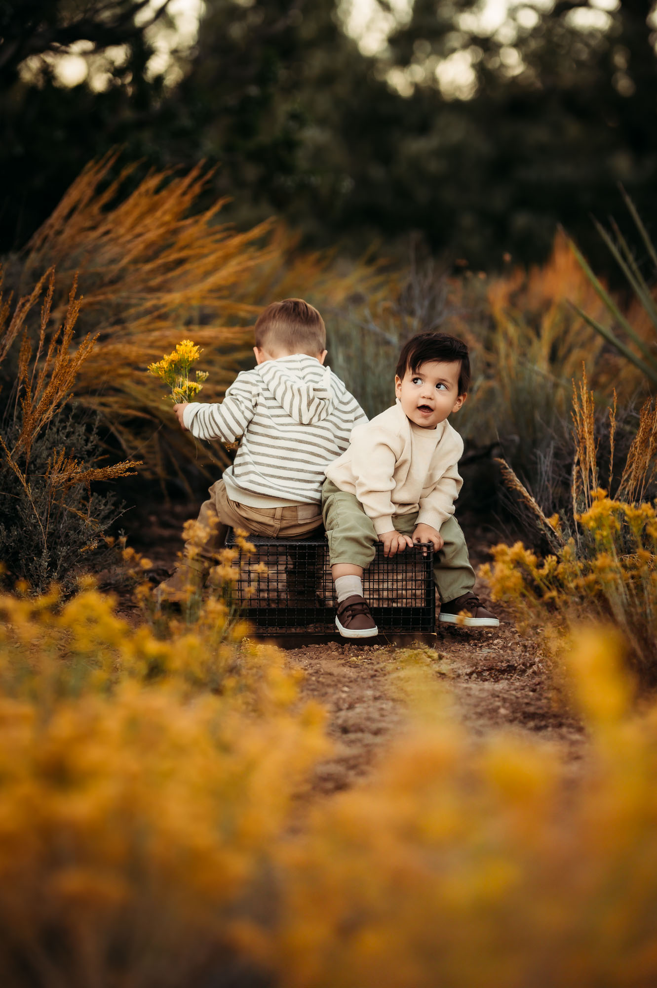 East Texas Family Portraits - Two little boys in neutral colored canvas shoes