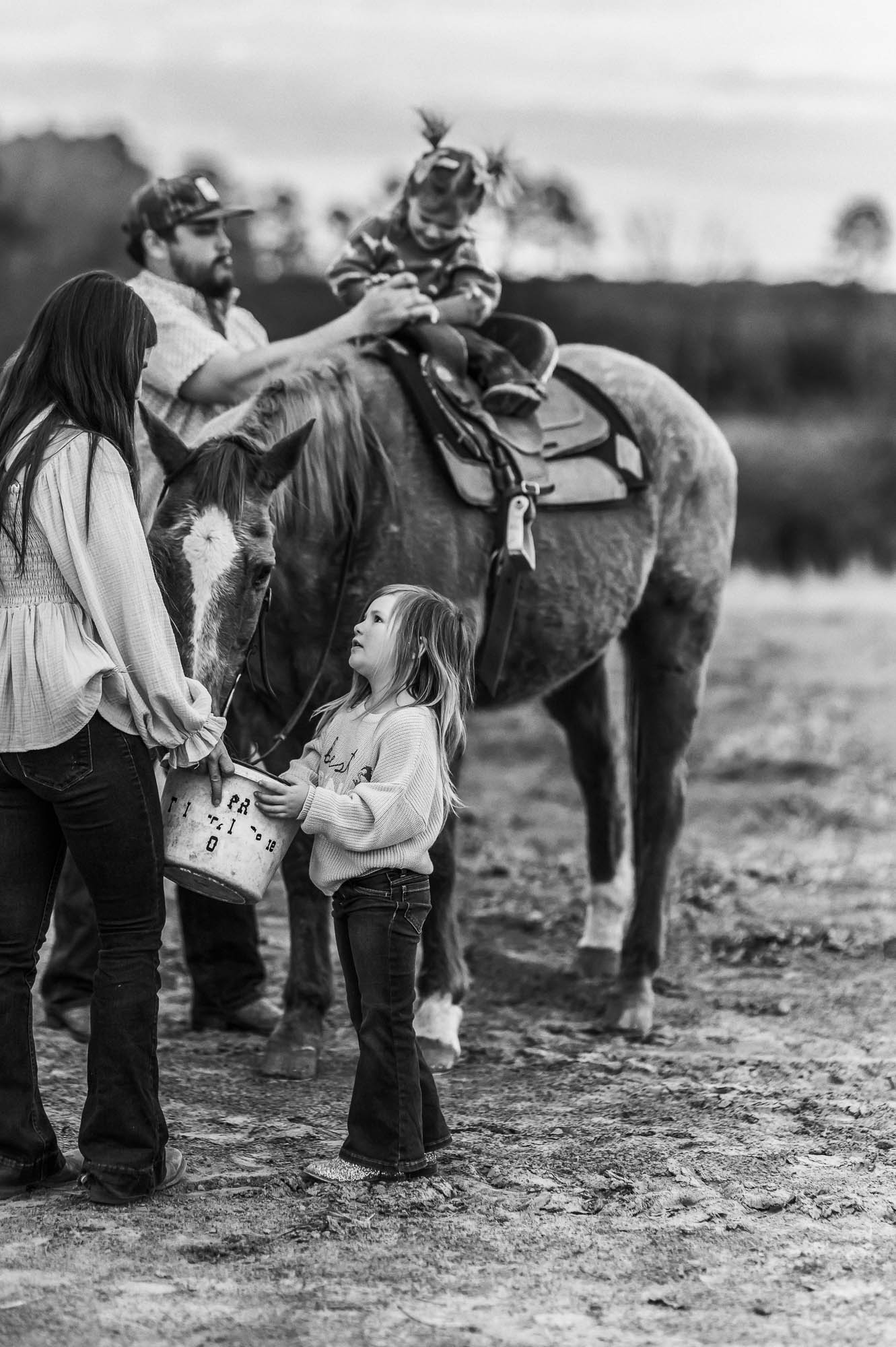 family feeding horse in open field | East Texas Equestrian Family Photographer